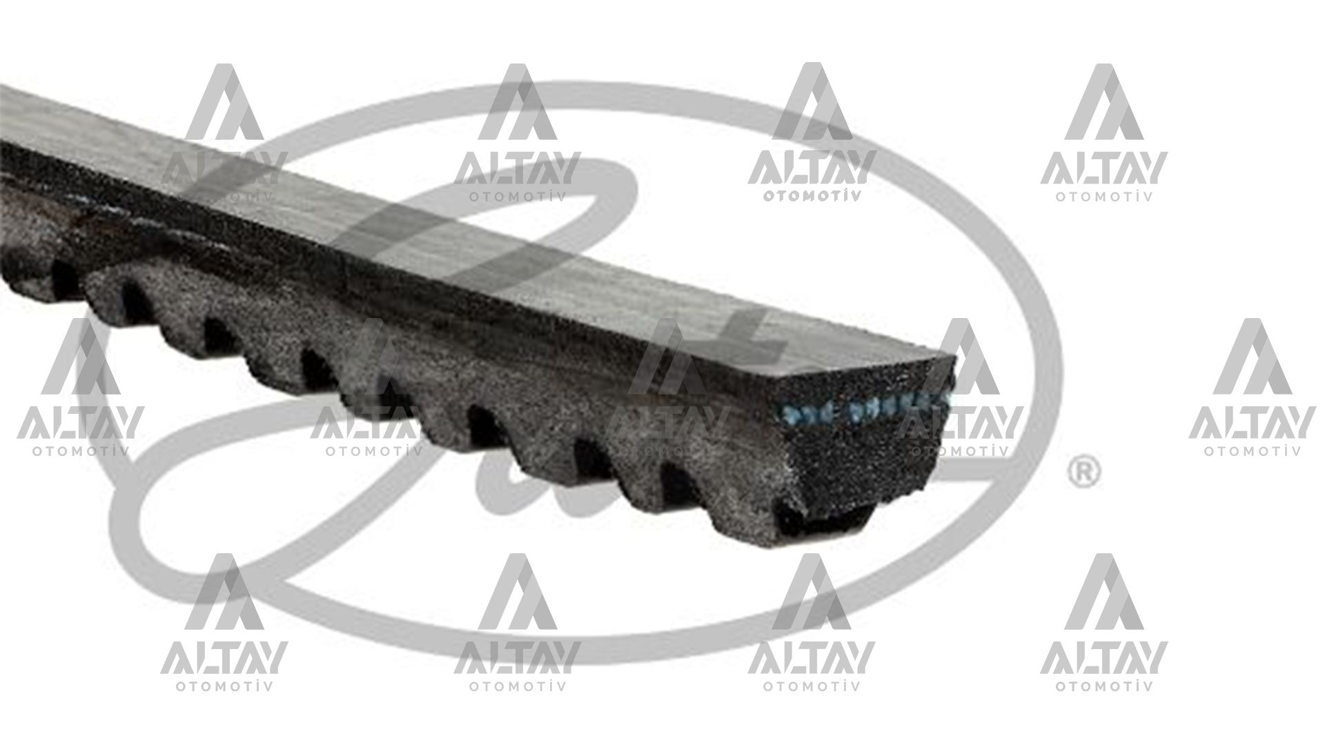 Ford Transit V Kayışı 1977- Kanallı Kayış Bm OEM 79TF6C301DA Ford Transit V Kayışı 1977- Kanallı Kayış Bm OEM 79TF6C301DA
