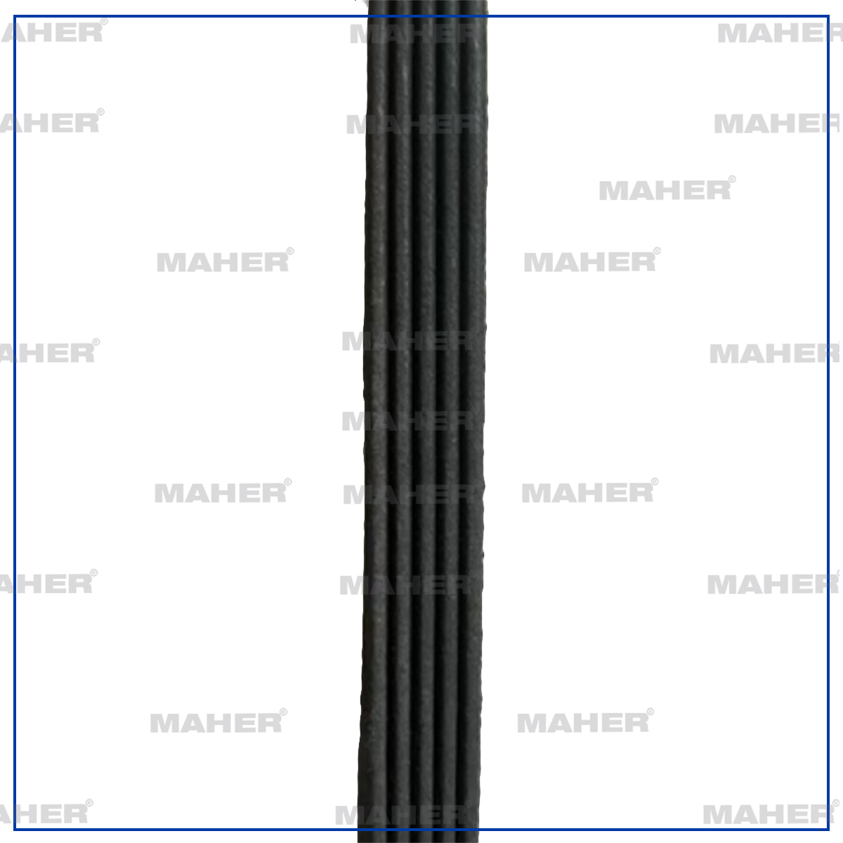 Fiat Siena V Kayışı
