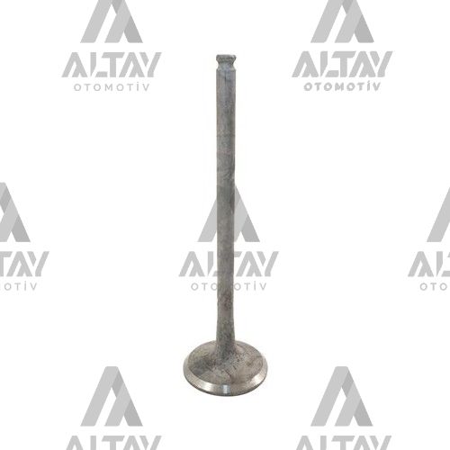 Citroen Elysee Supap Takım Citroen Elysee Supap Takım