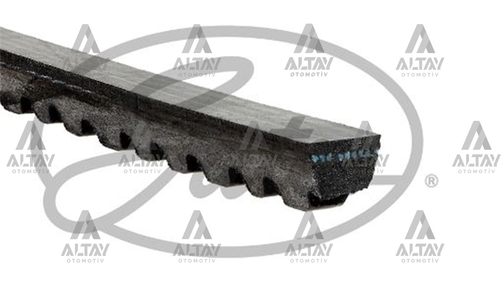 Ford Transit V Kayışı 1982- Kanallı Kayış . D OEM 10A1250 Ford Transit V Kayışı 1982- Kanallı Kayış . D OEM 10A1250